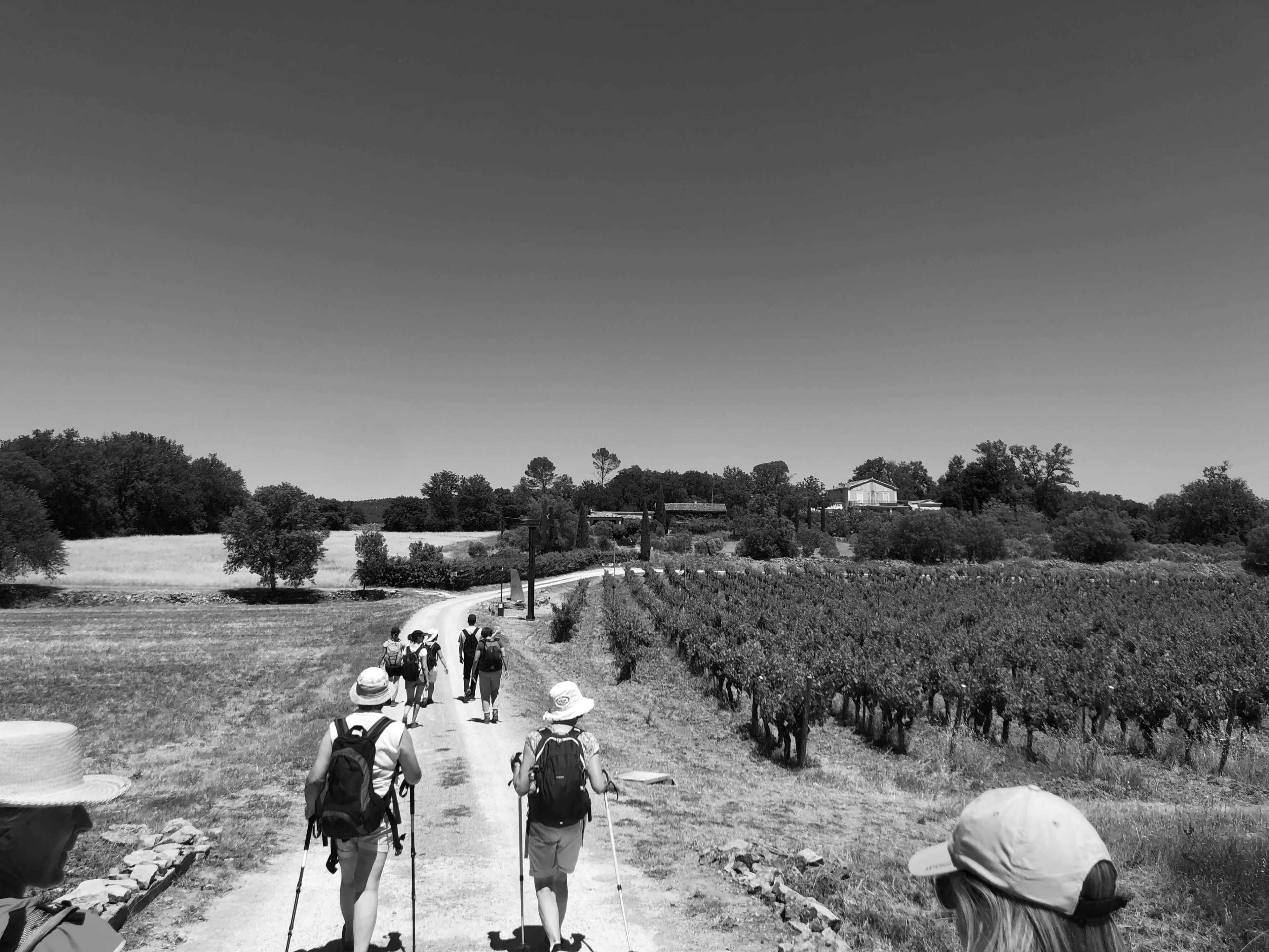 Pèlerinage des femmes à Cotignac