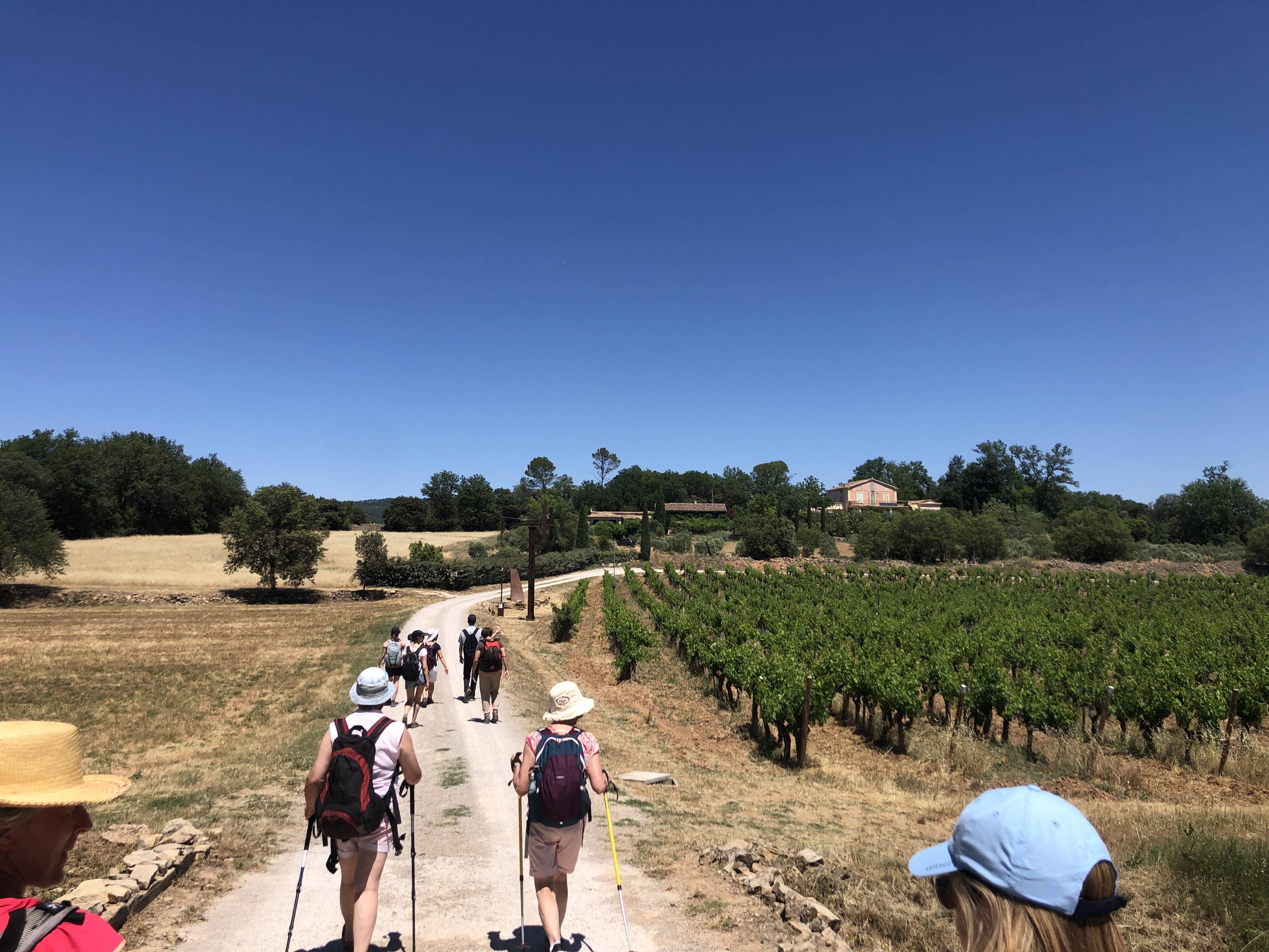 Pèlerinage des femmes et des mères de famille à Cotignac